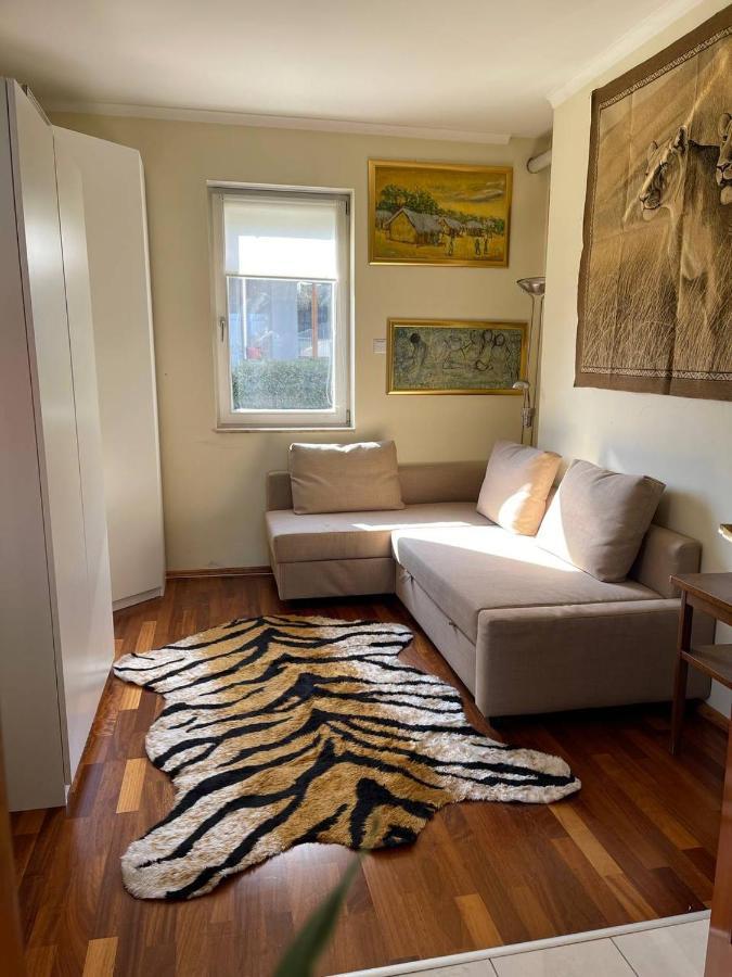 Rosehill Garden Family Villa With A Great Budapest View Bagian luar foto