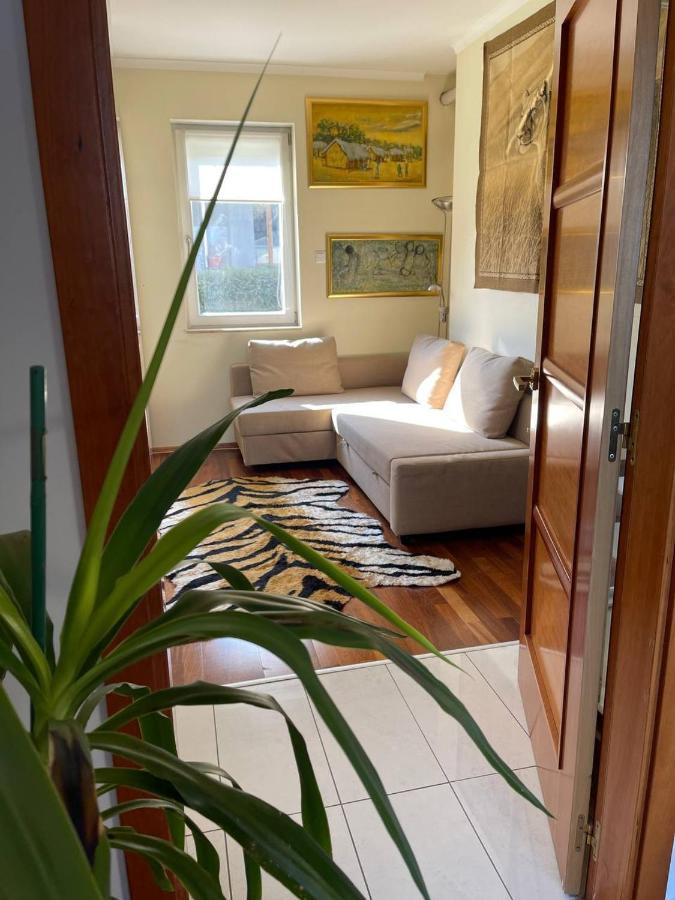 Rosehill Garden Family Villa With A Great Budapest View Bagian luar foto
