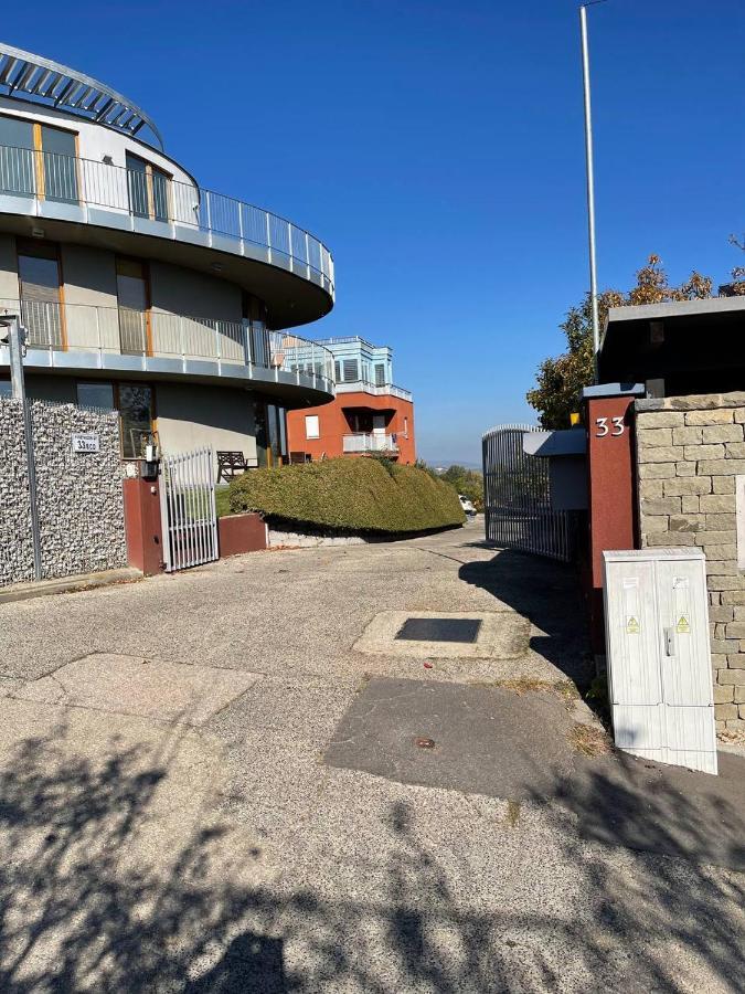 Rosehill Garden Family Villa With A Great Budapest View Bagian luar foto