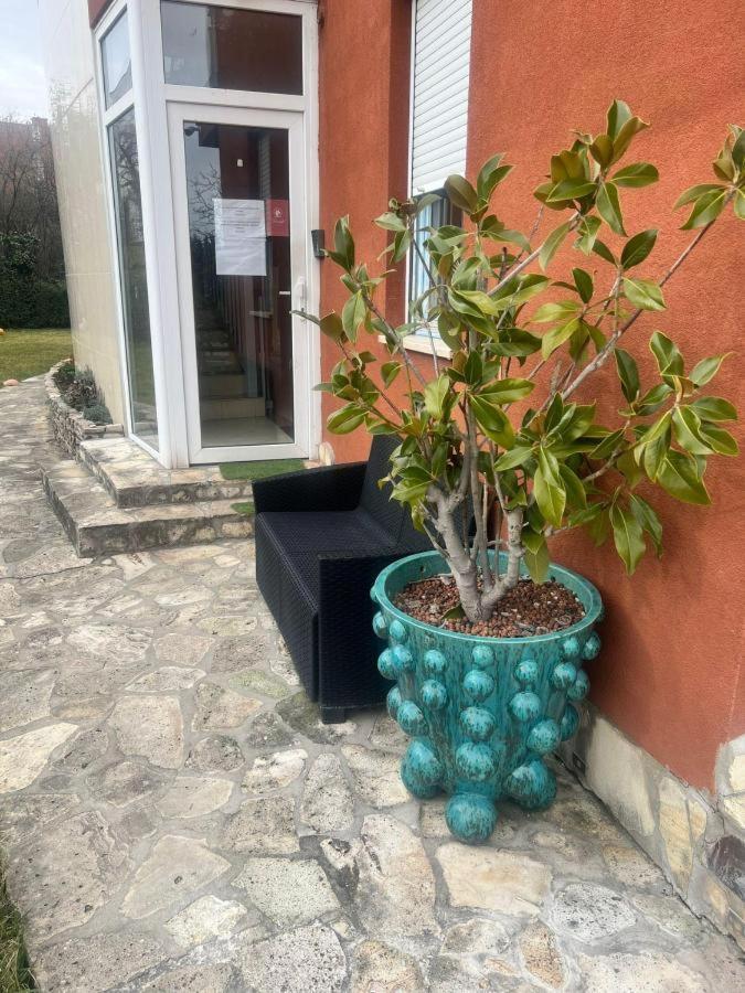 Rosehill Garden Family Villa With A Great Budapest View Bagian luar foto