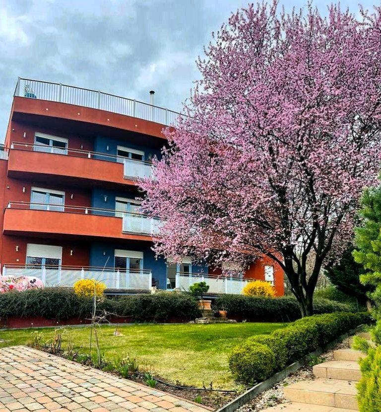 Rosehill Garden Family Villa With A Great Budapest View Bagian luar foto